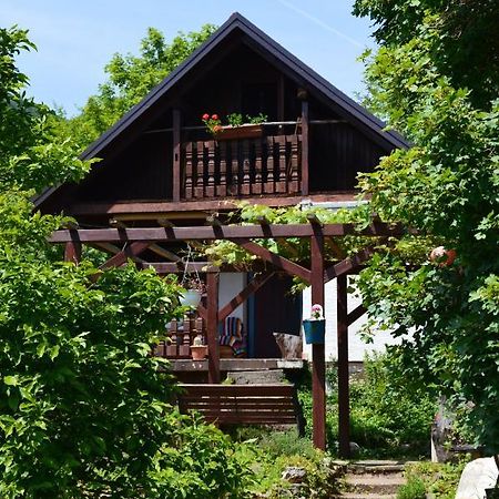 Na Okic - A Private Forest Oasis Sveti Martin pod Okicem Exterior foto