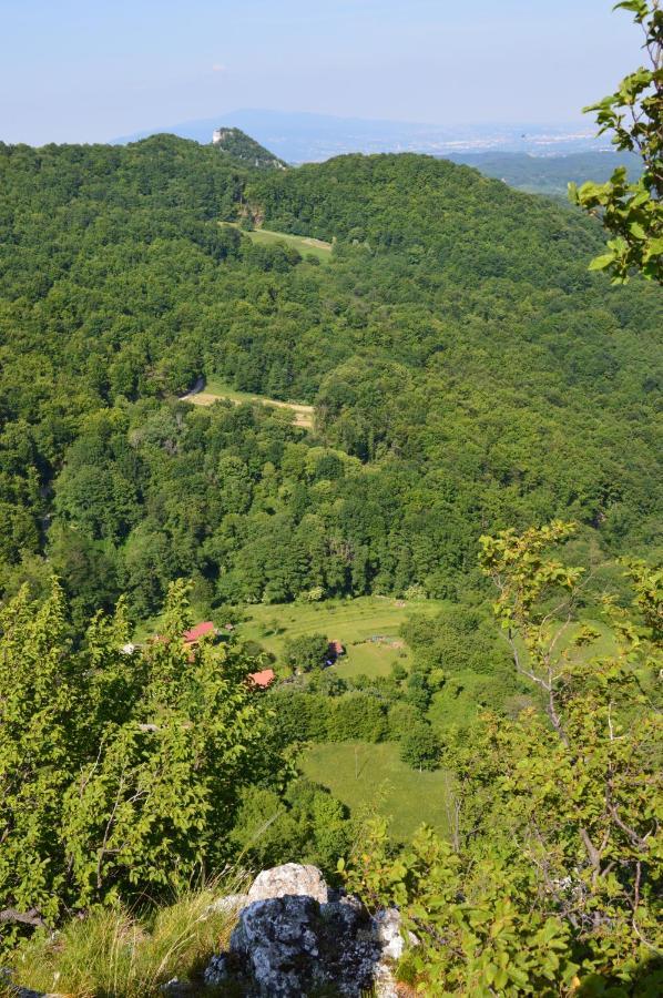 Na Okic - A Private Forest Oasis Sveti Martin pod Okicem Exterior foto