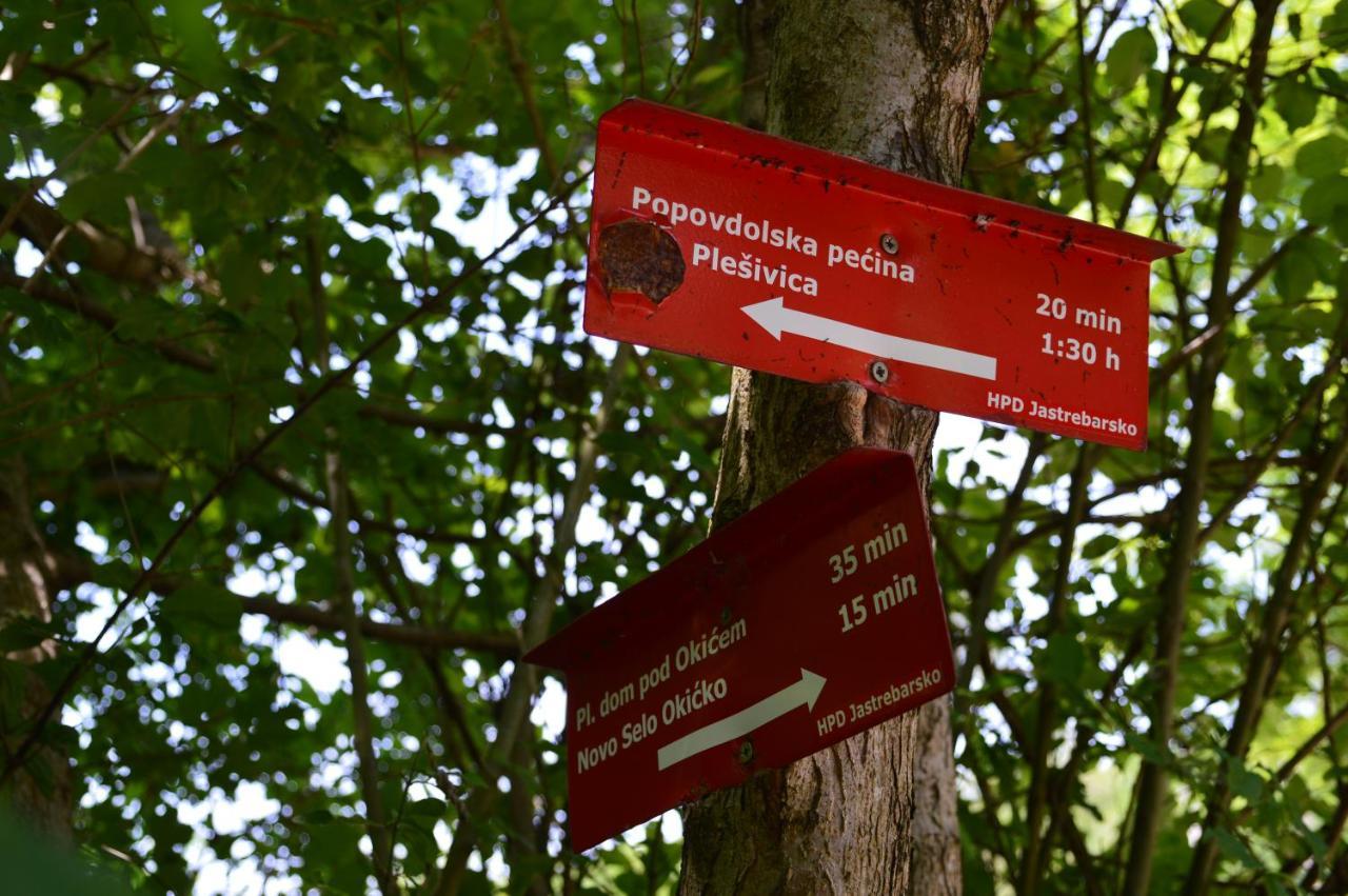 Na Okic - A Private Forest Oasis Sveti Martin pod Okicem Exterior foto