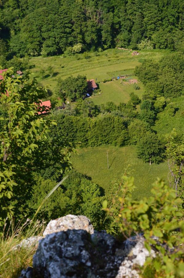 Na Okic - A Private Forest Oasis Sveti Martin pod Okicem Exterior foto