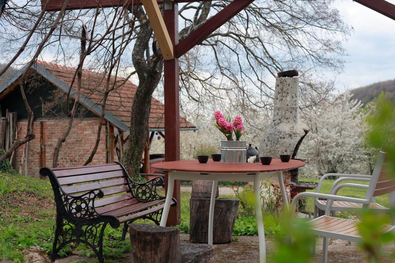 Na Okic - A Private Forest Oasis Sveti Martin pod Okicem Exterior foto