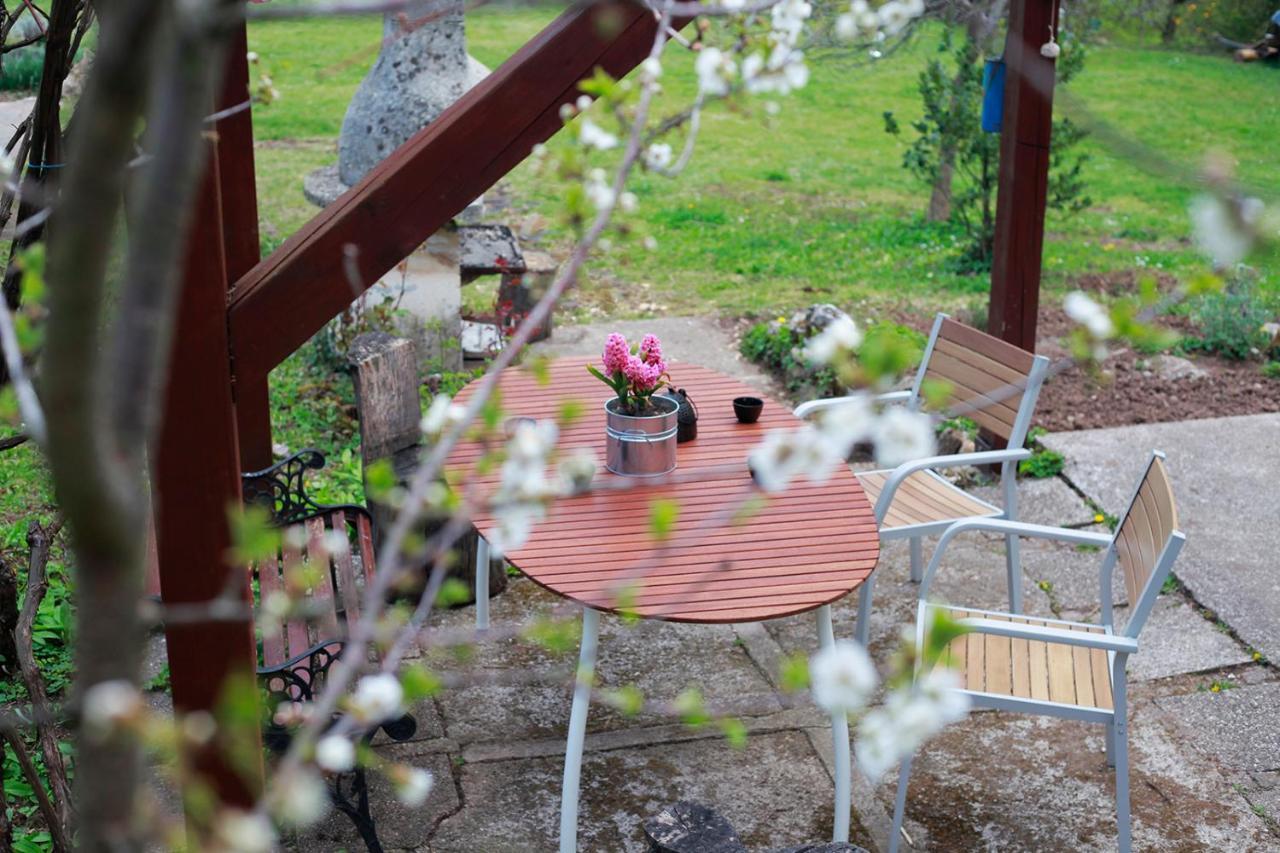 Na Okic - A Private Forest Oasis Sveti Martin pod Okicem Exterior foto