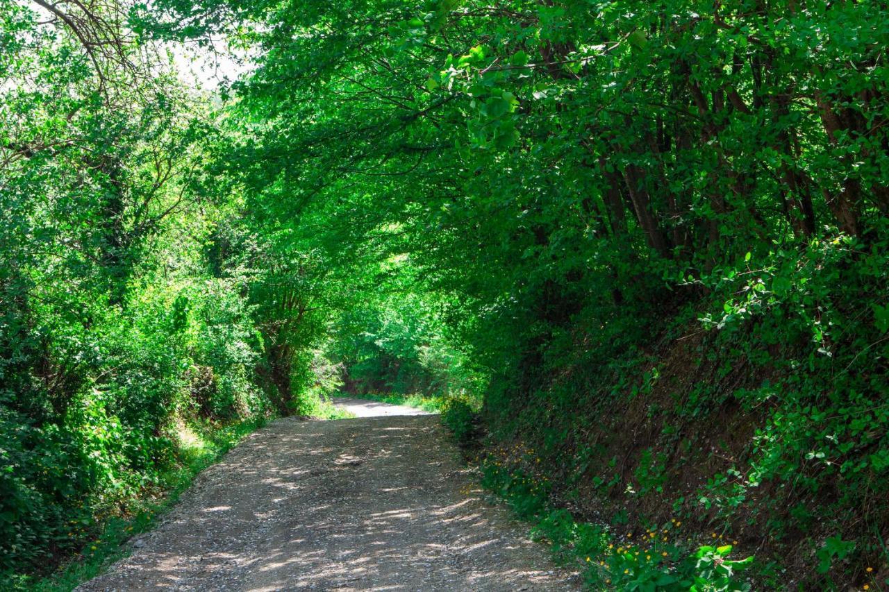 Na Okic - A Private Forest Oasis Sveti Martin pod Okicem Exterior foto