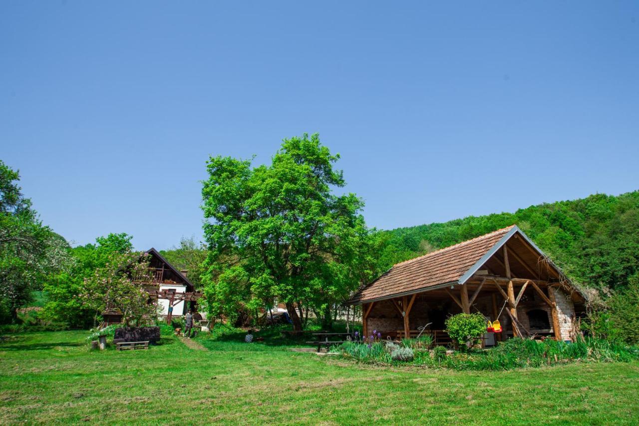 Na Okic - A Private Forest Oasis Sveti Martin pod Okicem Exterior foto